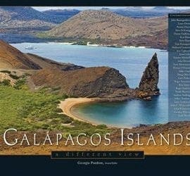 Galapagos Islands: A Different View Book by Dr. Georgia Purdom | MB - Creation/Evolution