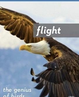 Flight: The Genius of Birds Blu-Ray | Illustra Media - Zoology DVDs