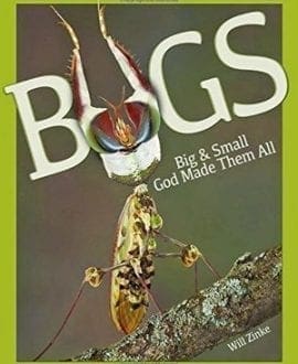 Bugs: Big & Small God Made Them All Book by Will Zinke | MB - Children's Books