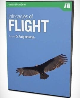 The Intricacies of Flight DVD by Dr. Andy McIntosh | AIG - General Science