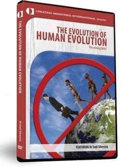 human evolution