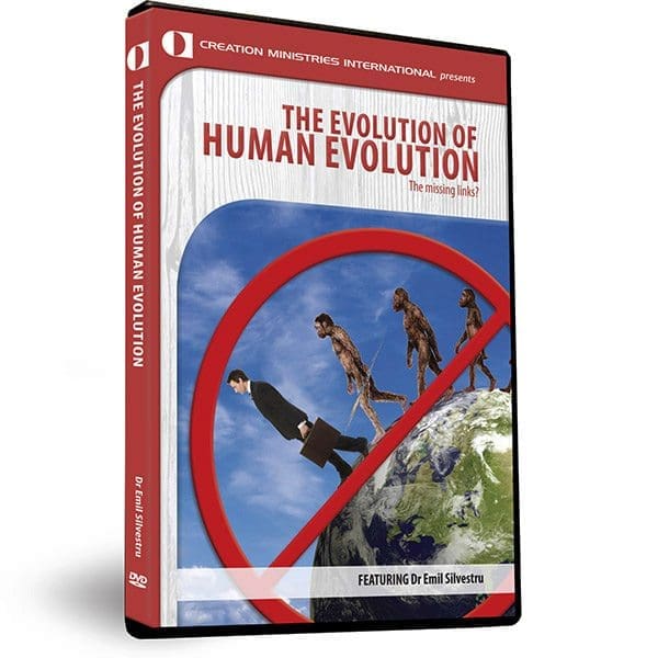 human evolution