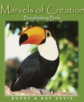 Marvels of Creation: Breathtaking Birds Book by Buddy & Kay Davis | MB - Children's Books