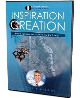 Inspiration from Creation