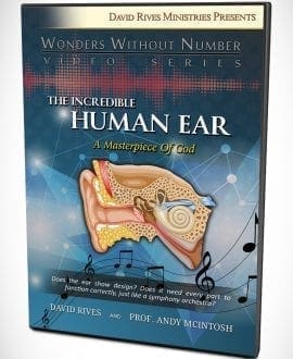 The Incredible Human Ear - A Masterpiece of God DVD