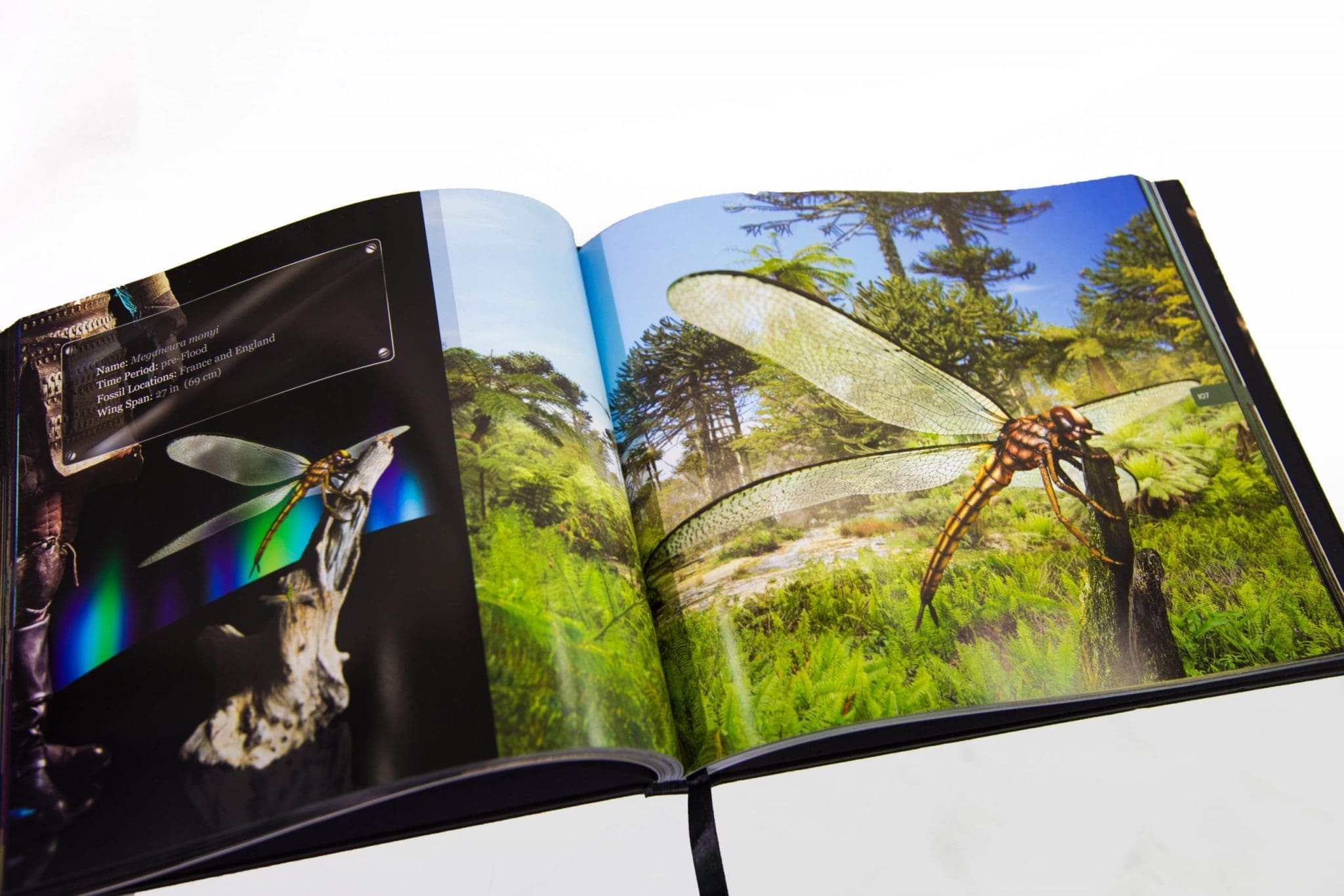 Untold Secrets of Planet Earth: Monumental Monsters Book by Vance Nelson | USOPE - Paleontology/Zoology - Image 31