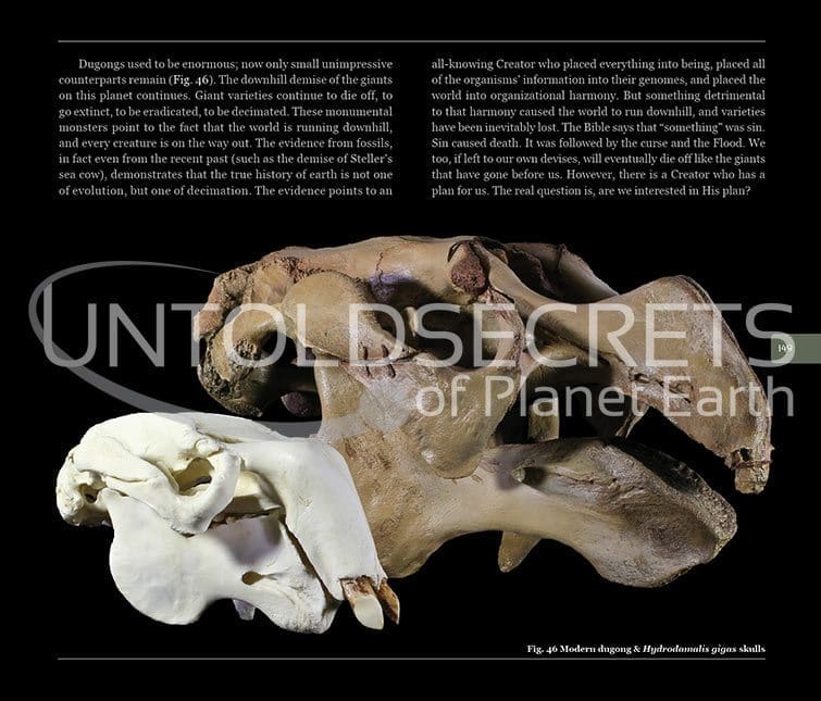 Untold Secrets of Planet Earth: Monumental Monsters Book by Vance Nelson | USOPE - Paleontology/Zoology - Image 24