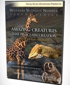 Amazing Creatures That Proclaim Creation DVD