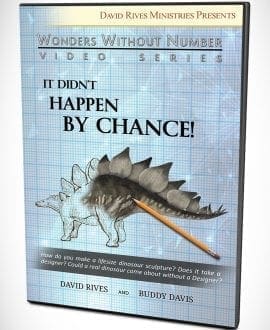 It Didn't Happen By Chance! DVD