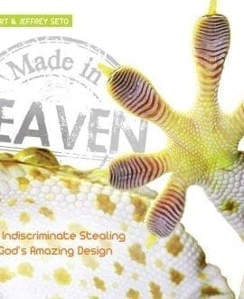 Made in Heaven