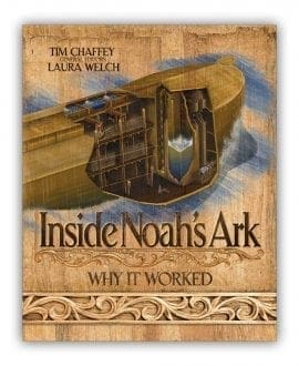 Inside Noah's Ark