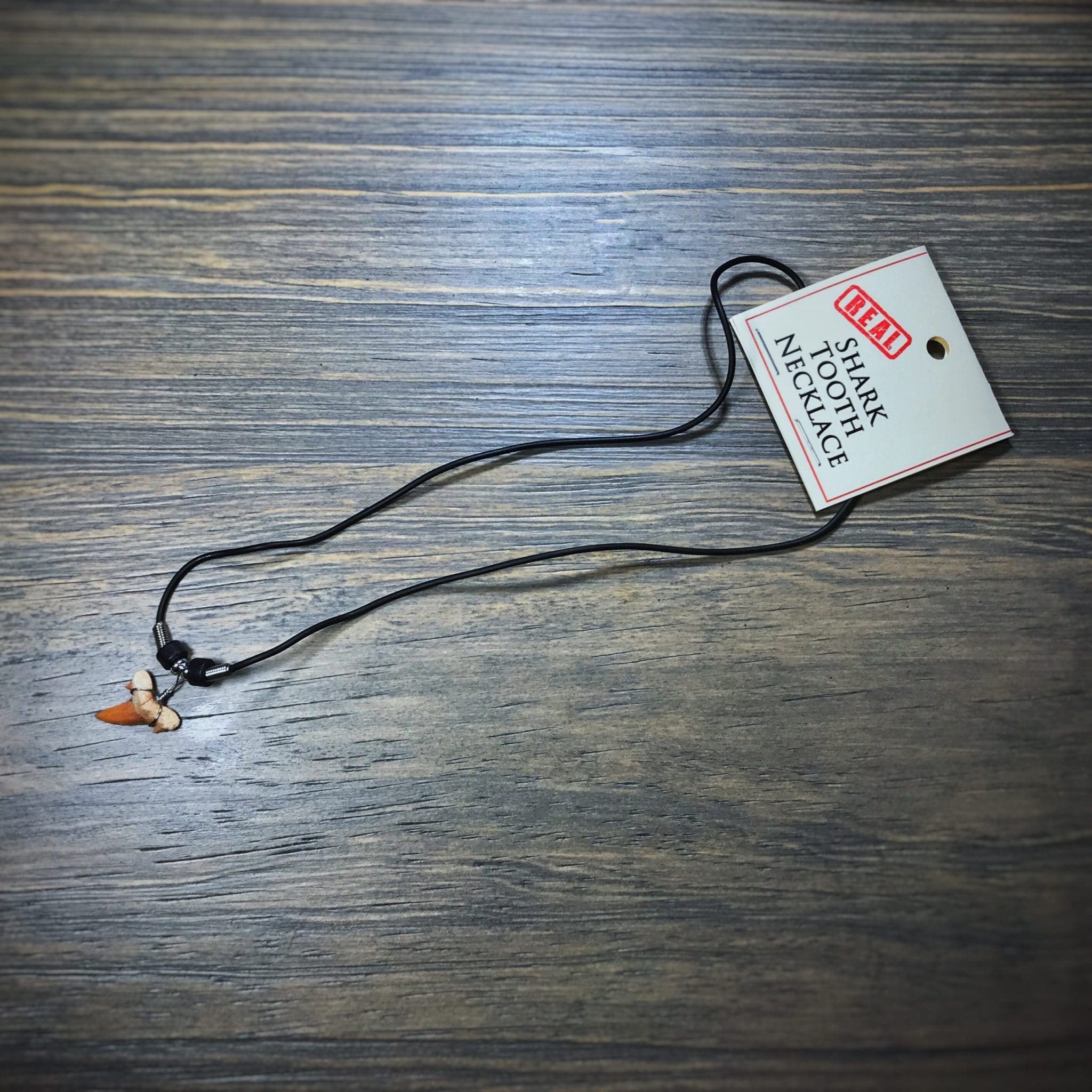 Shark Tooth Necklace Full