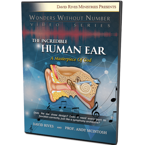 The Incredible Human Ear DVD
