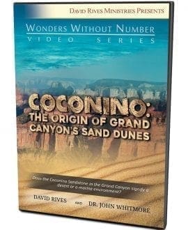 Coconino DVD