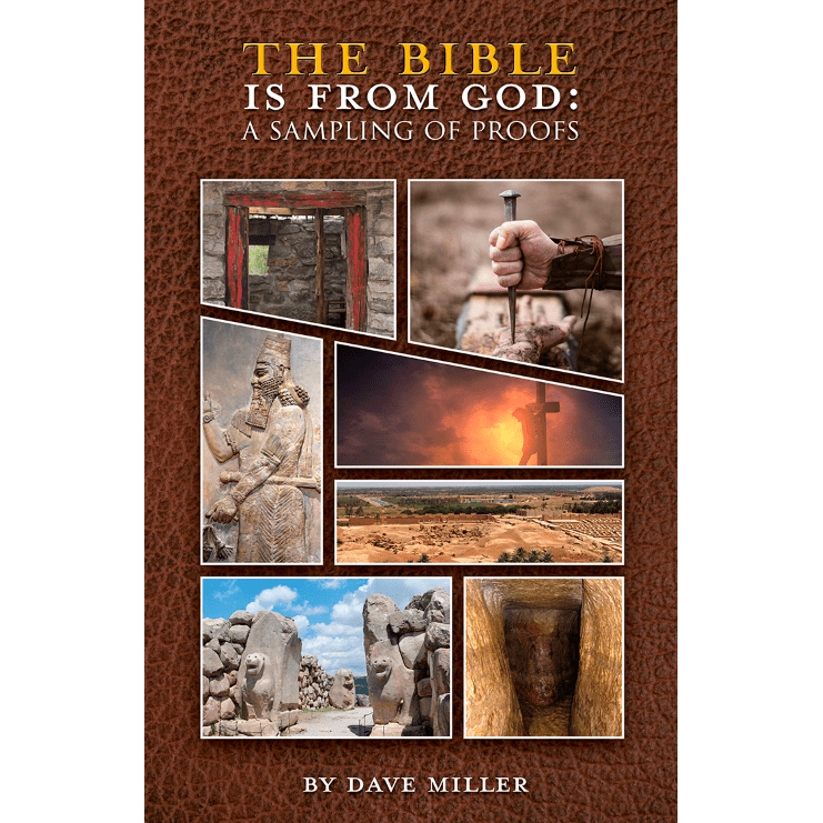 The Bible Is From God Book