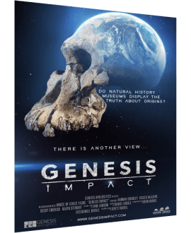 The Genesis Impact Film