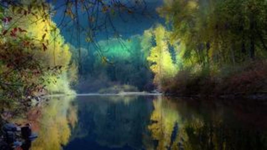 Grace- Blu-Ray DVD | Creation Scapes