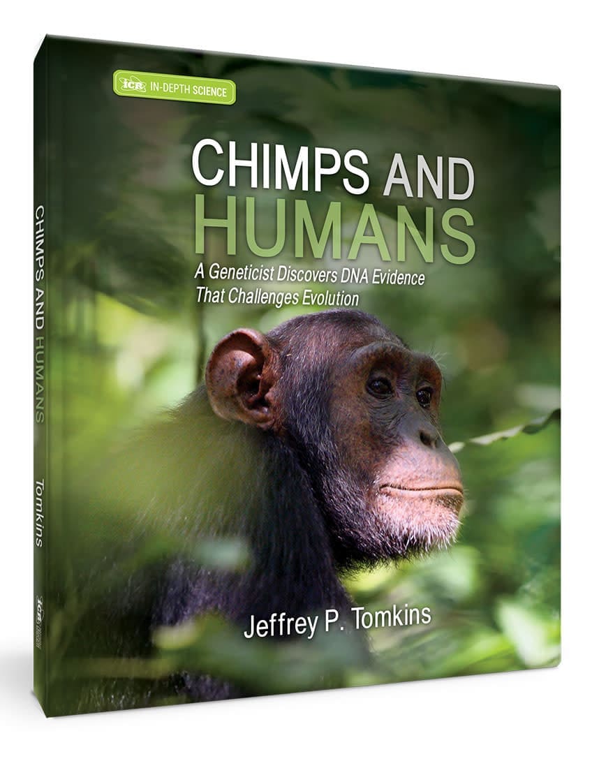 Chimps and Humans: A Geneticist Discovers DNA Evidence That Challenges Evolution Book by Dr. Jeffrey Tomkins | ICR - Creation/Evolution