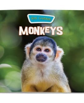 God Created Monkeys