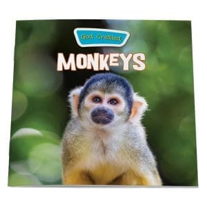 God Created Monkeys 