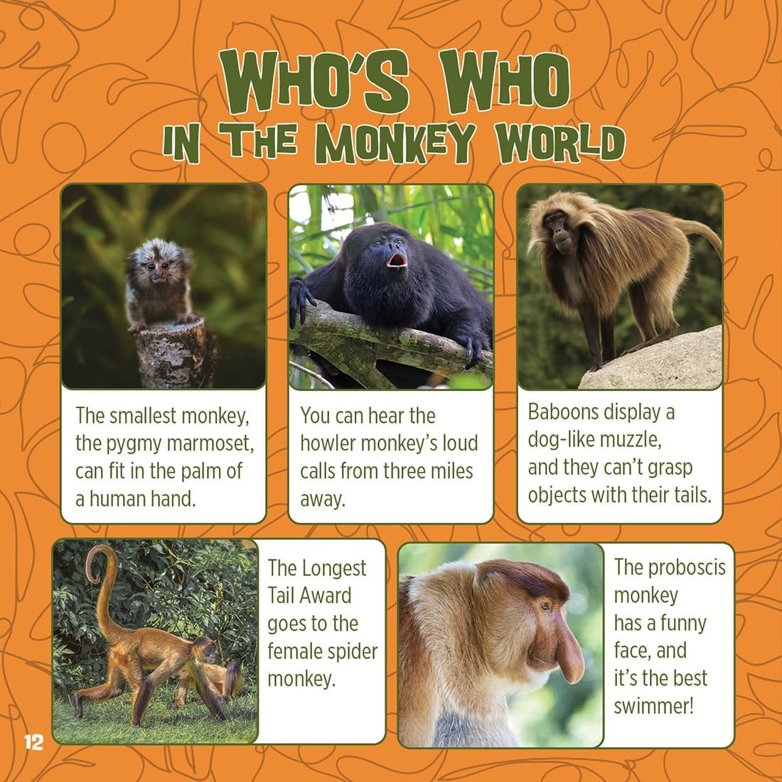 God Created Monkeys Book | ICR - Children's Books - Image 5