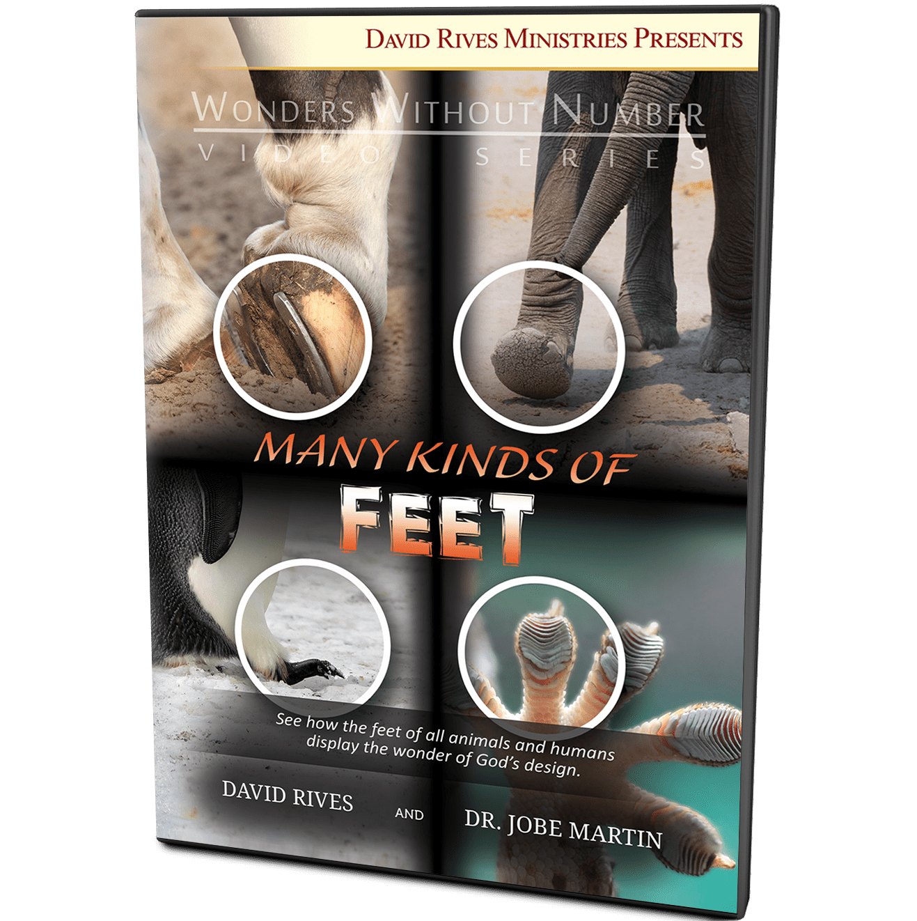 Many Kinds of Feet | David Rives and Dr. Jobe Martin | Wonders Without Number Video
