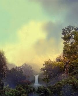 7 Days of Creation Week - Day 3 11" X 17" Art Print