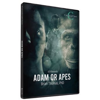 Adam or Apes DVD