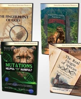 Anderson Bundle