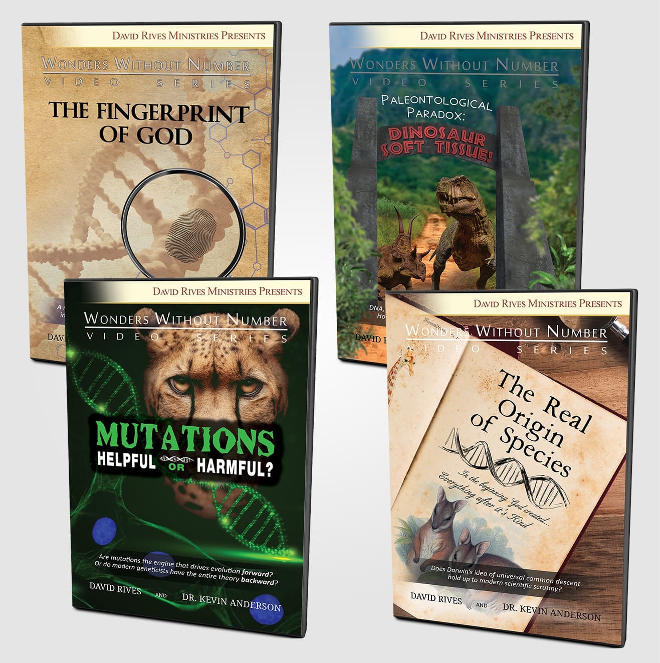 Anderson Bundle