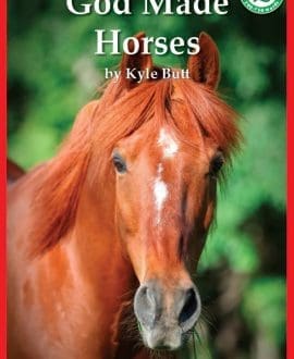 God Made Horses