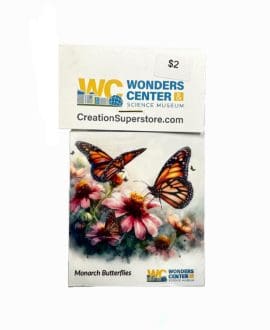 Monarch Butterflies Magnet by The Creation Superstore
