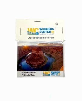 Horseshoe Bend Colorado River Magnet (Photo by David Rives) by The Creation Superstore