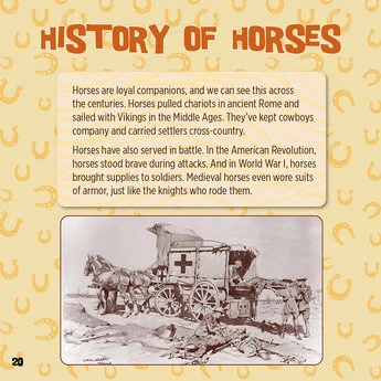God Created Horses 7