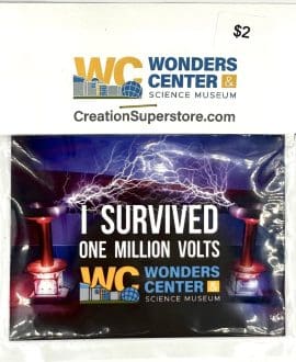 I Survived One Million Volts  Magnet