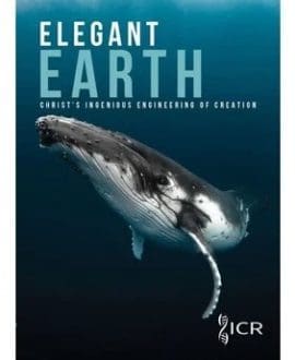 Elegant Earth 1