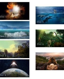 Days 1-7 Artwork Collection