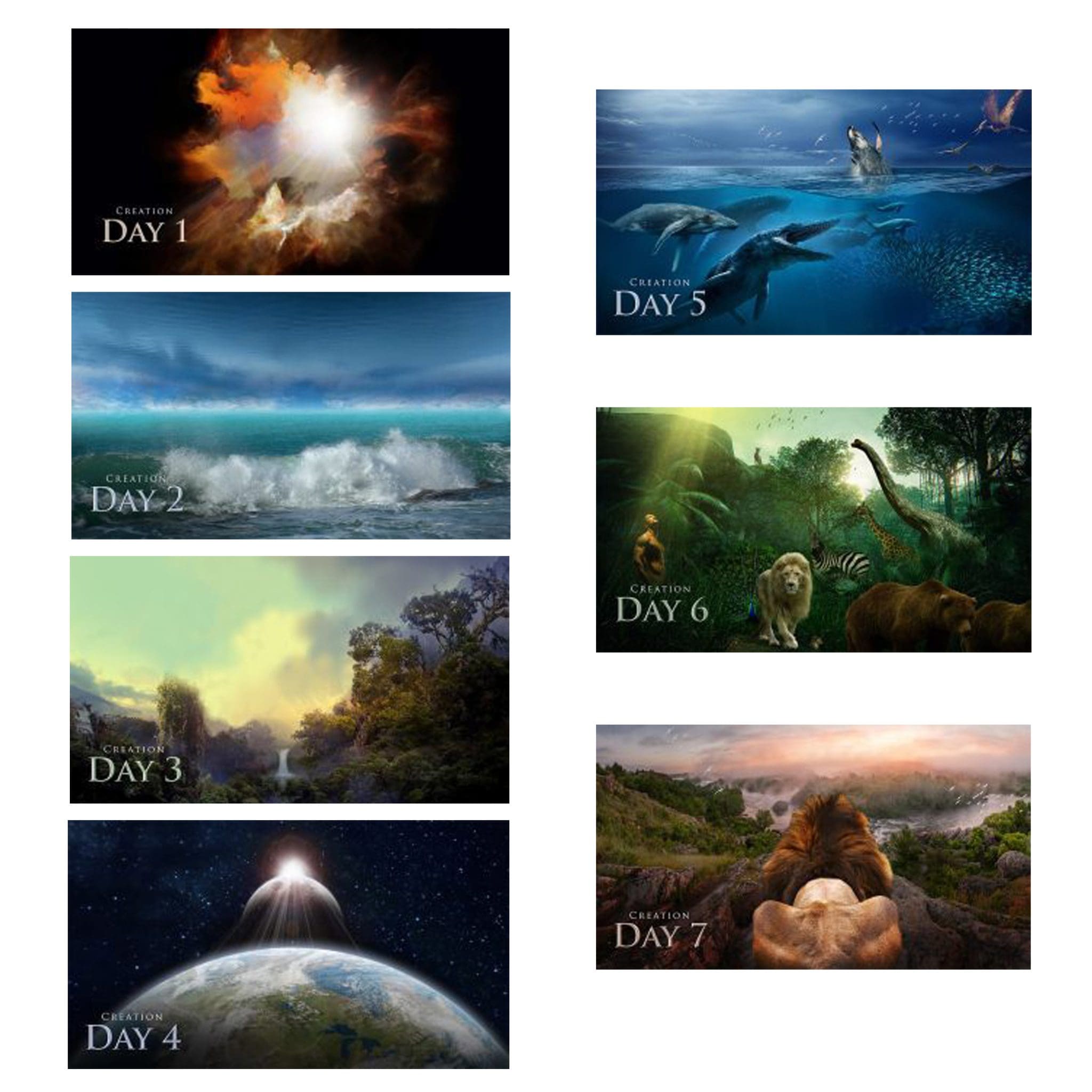 7 Days of Creation Days 1-7 (11
