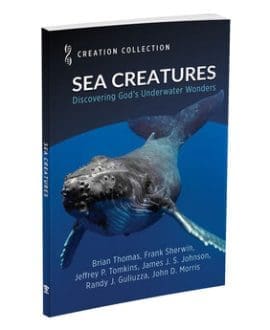 Sea Creatures 1