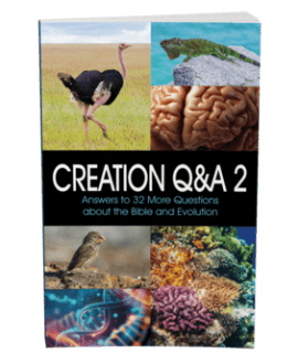 Creation Q&A 2 Cover