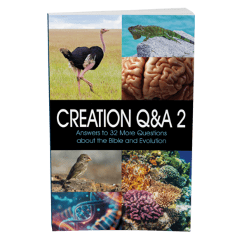 Creation Q&A 2 Cover