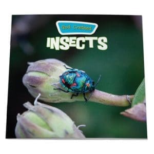 God Created Insects 