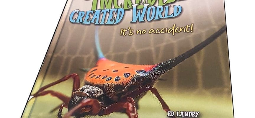 Our Incredible Created World