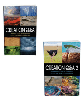 Creation Q&A Bundle