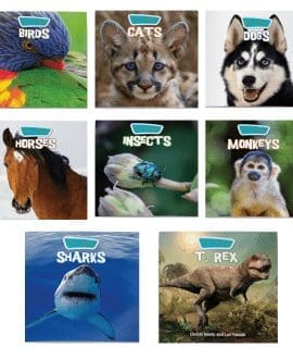 God Created Animals