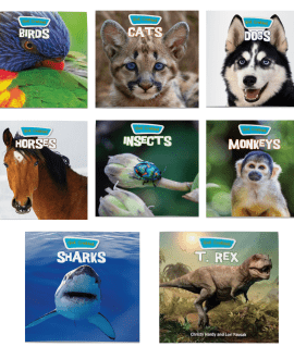 God Created Animals