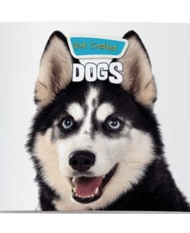 God Created Dogs Cover