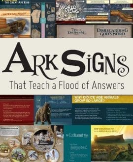 Ark Signs