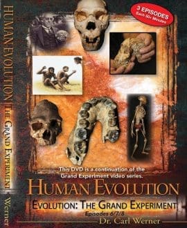 Human Evolution Episodes 6-8