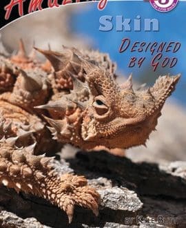 Amazing Skin Designed by God